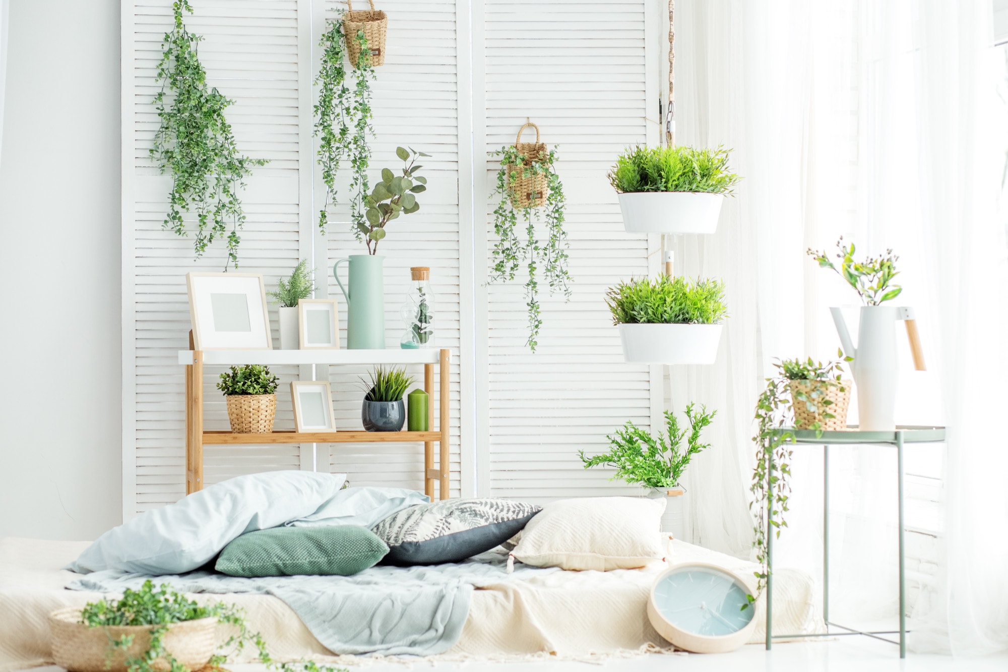 7 Indoor Houseplants to Brighten Your Home in the Winter