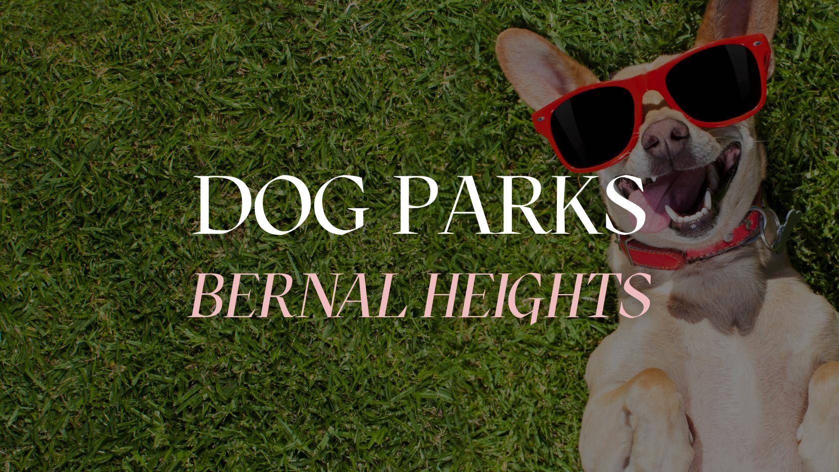 Highlighting dog parks in Bernal Heights